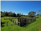Wingham NSW 2429