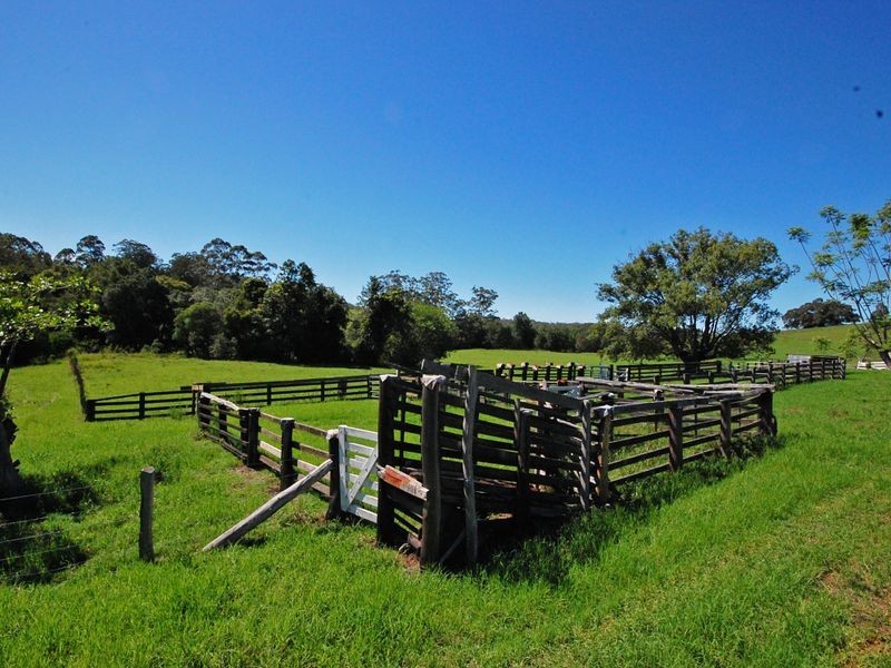 Wingham NSW 2429