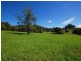 Wingham NSW 2429