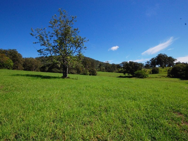 Wingham NSW 2429