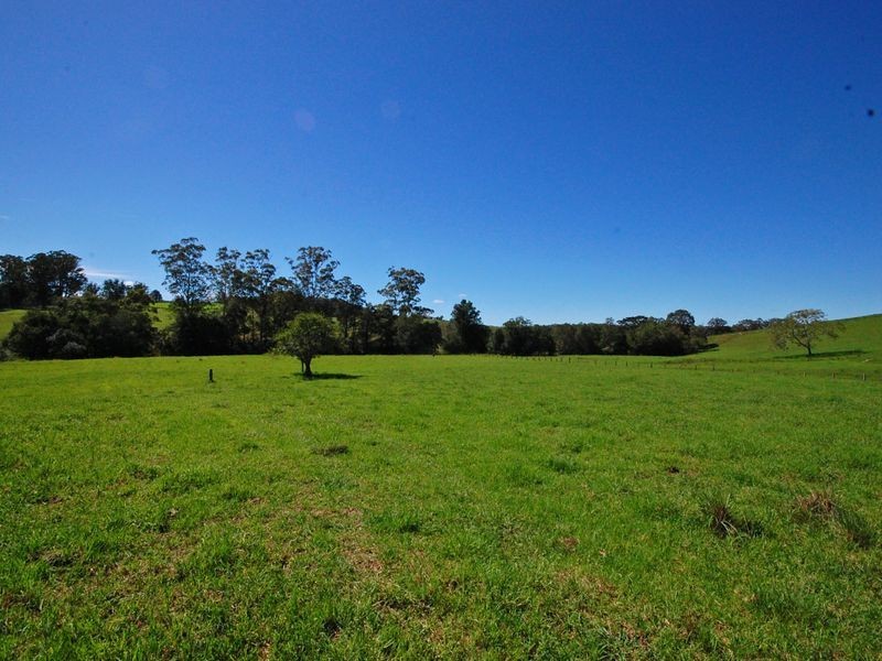 Wingham NSW 2429