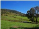Wingham NSW 2429