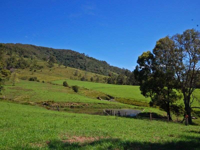 Wingham NSW 2429