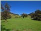 Wingham NSW 2429