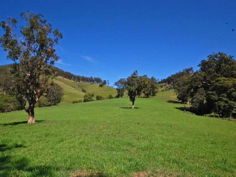 Wingham NSW 2429