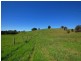 Wingham NSW 2429