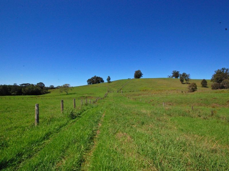 Wingham NSW 2429