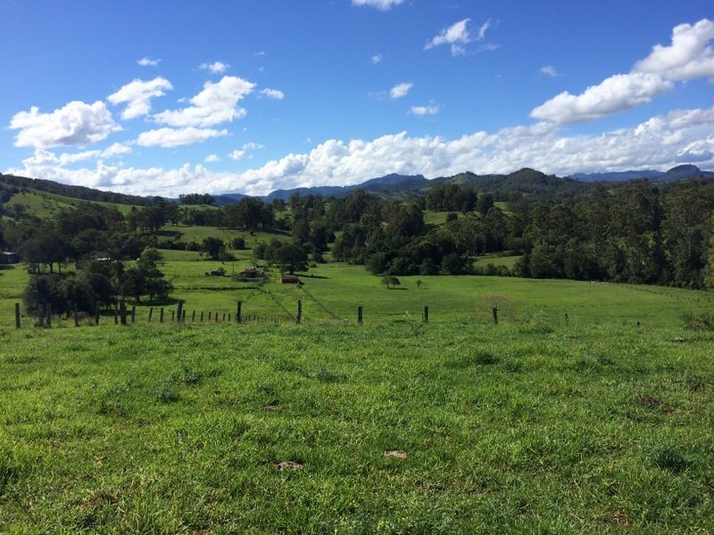 Wingham NSW 2429