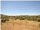 Wingham NSW 2429