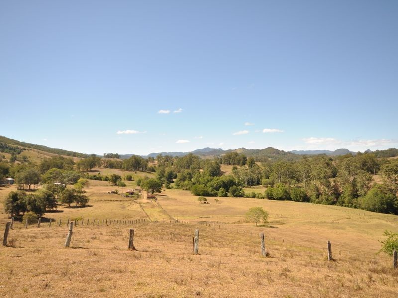 Wingham NSW 2429