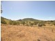 Wingham NSW 2429