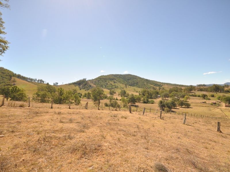Wingham NSW 2429