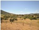 Wingham NSW 2429
