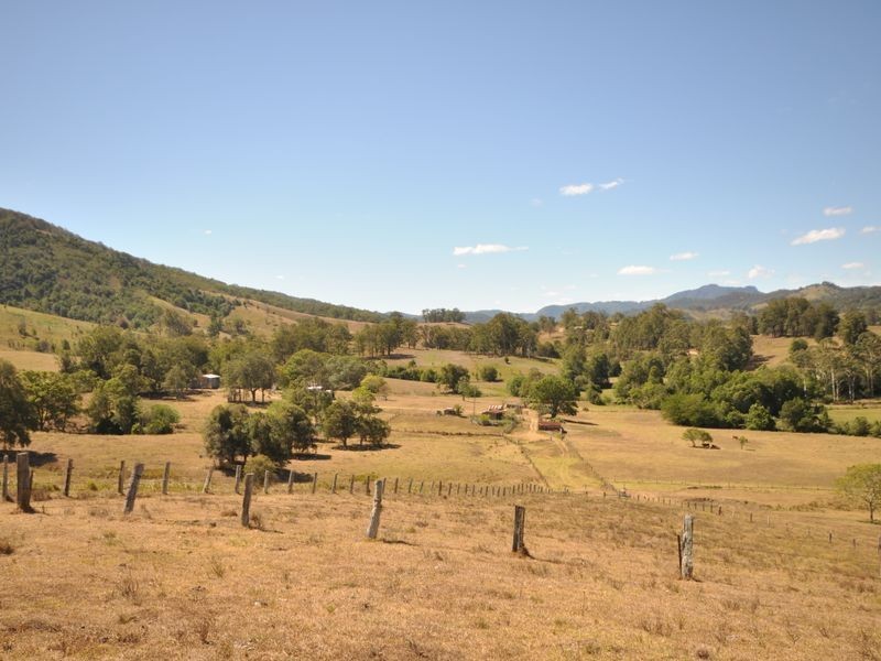 Wingham NSW 2429