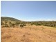 Wingham NSW 2429