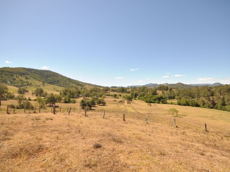 Wingham NSW 2429