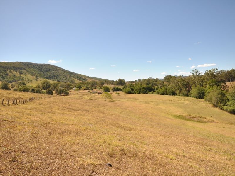 Wingham NSW 2429