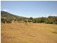 Wingham NSW 2429