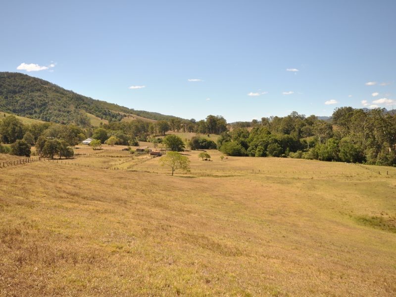 Wingham NSW 2429