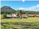 Killabakh NSW 2429