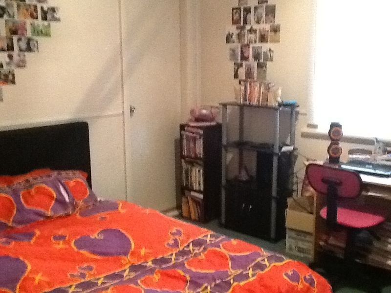 22 Mortimer Street, Wingham NSW 2429