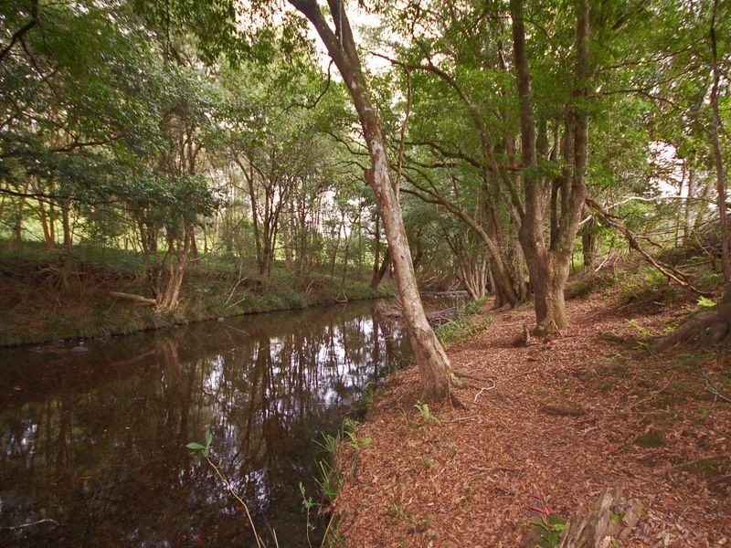 Bobin NSW 2429