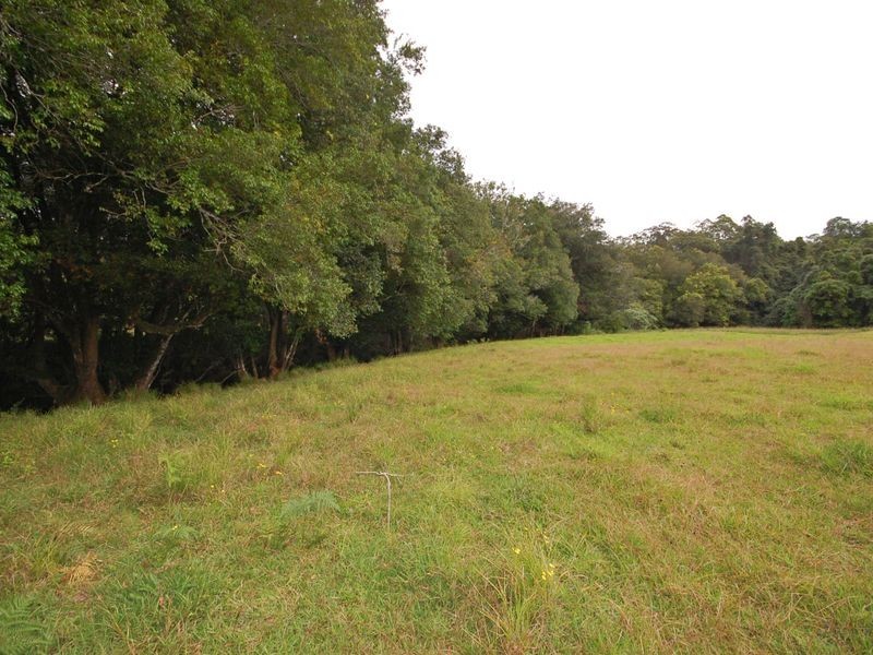 Bobin NSW 2429