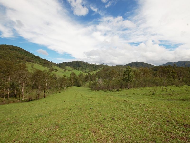 Mount George NSW 2424