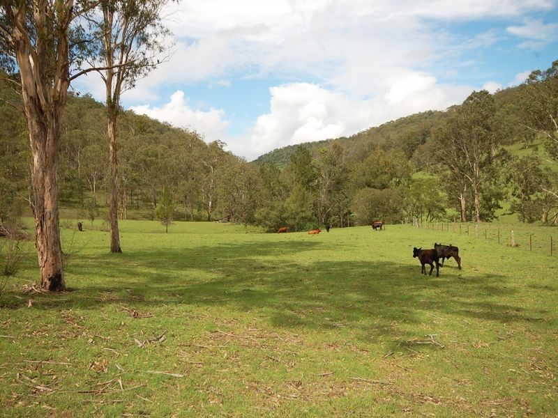 Mount George NSW 2424