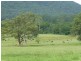 Taree NSW 2430