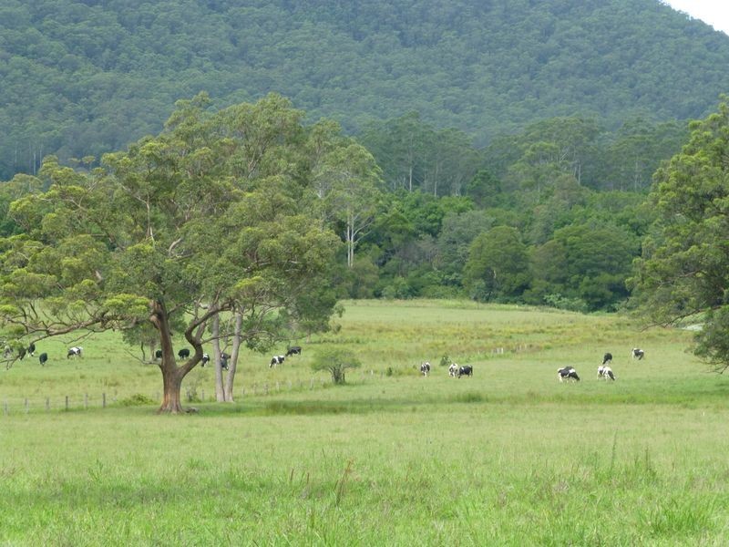 Taree NSW 2430