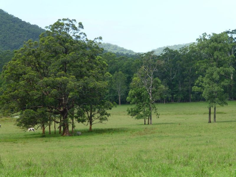 Taree NSW 2430