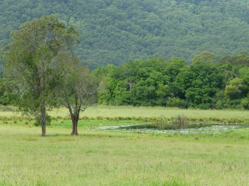 Taree NSW 2430