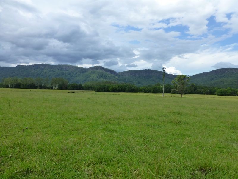 Taree NSW 2430