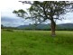 Taree NSW 2430