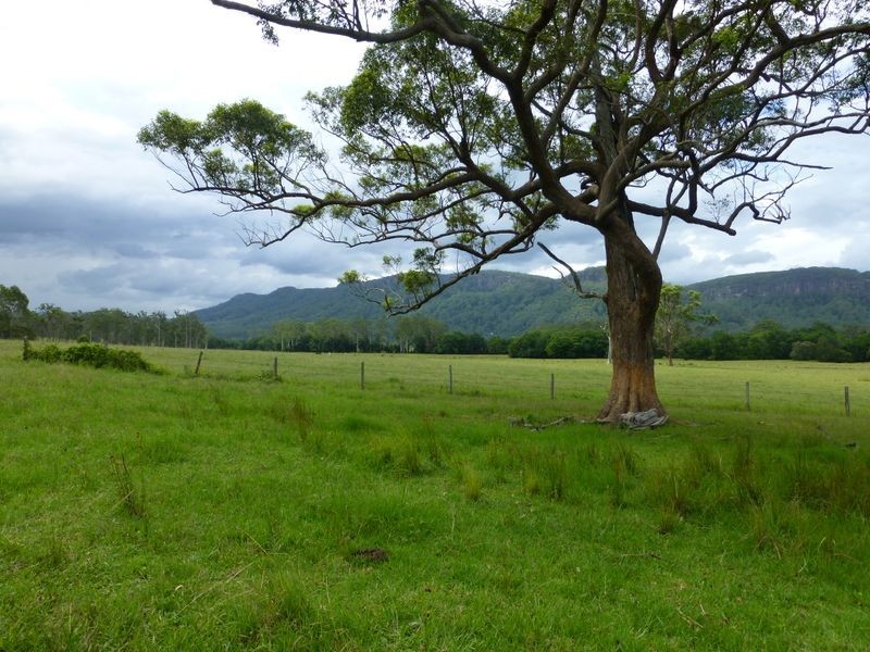 Taree NSW 2430
