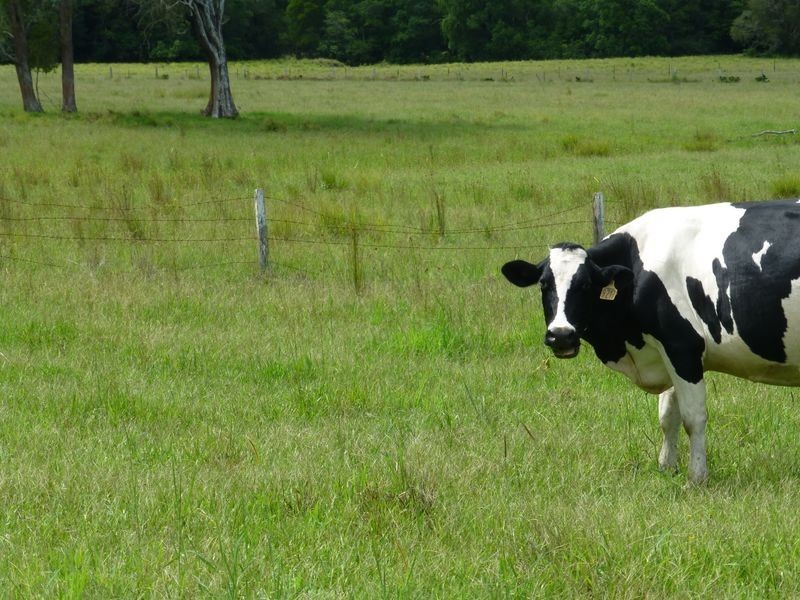 Taree NSW 2430