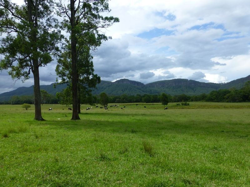 Taree NSW 2430