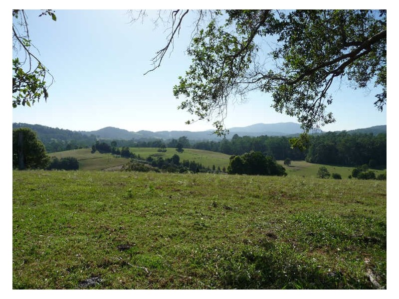 Hannam Vale NSW 2443