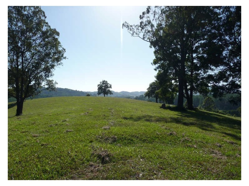 Hannam Vale NSW 2443