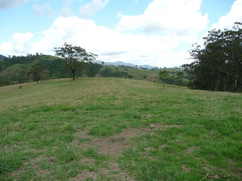 Knorrit Flat NSW 2424
