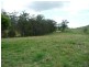 Knorrit Flat NSW 2424