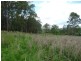 Knorrit Flat NSW 2424