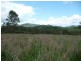 Knorrit Flat NSW 2424