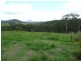 Knorrit Flat NSW 2424