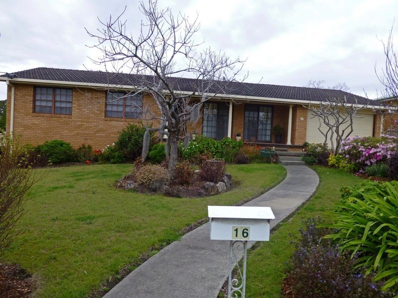 16 Fotheringham Street, Wingham NSW 2429