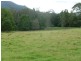 Moorland NSW 2443