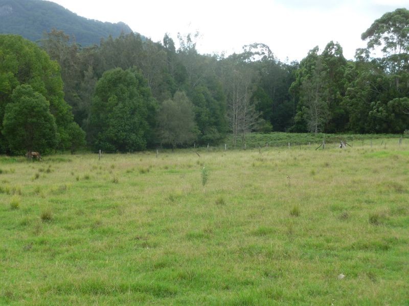 Moorland NSW 2443