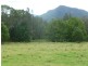 Moorland NSW 2443