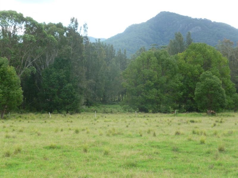 Moorland NSW 2443